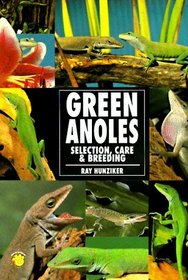 Green Anole: Selection, Care and Breeding