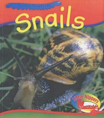 Snails (Little Nippers: Creepy Creatures)