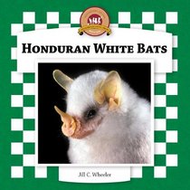 Honduran White Bats (Bats Set II)