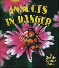 Insects in Danger (The World of Insects)