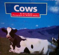 Cows (Early Reader Science)