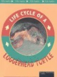 Loggerhead Turtle (Life Cycles)