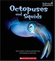 Octopus and Squid (Undersea Encounters)