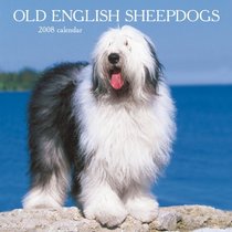 Old English Sheepdogs 2008 Square Wall Calendar (German, French, Spanish and English Edition)