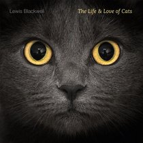 The Life and Love of Cats