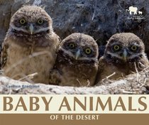 Baby Animals of the Desert (Nature's Baby Animals (Paper))