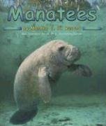 Manatees (Ocean Life)