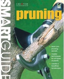 Smart Guide: Pruning