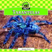 Tarantulas (Unique Pets)