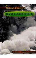 Avalanches (Natural Disasters)