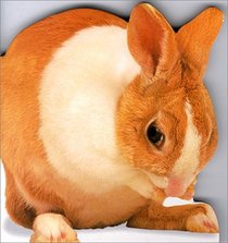 Bunny (Animal-Shaped Board Book)
