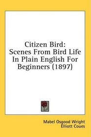 Citizen Bird: Scenes From Bird Life In Plain English For Beginners (1897)