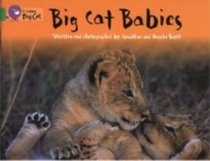Big Cat Babies: Band 05/Green (Collins Big Cat)