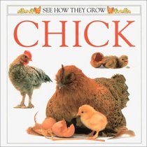 See How They Grow: Chick
