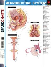 Reproductive System (SparkCharts)