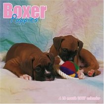 Boxer Puppies 2007 Wall Calendar