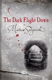 The Dark Flight Down