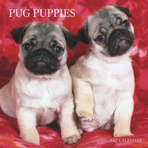 Pug Puppies 2007 Calendar