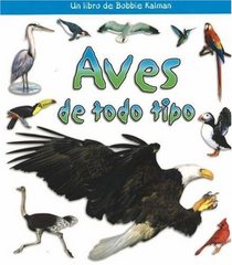 Aves De Todo Tipo / Birds of All Kinds (Que Tipo De Animal Es? / What Kind of Animal Is It?) (Spanish Edition)