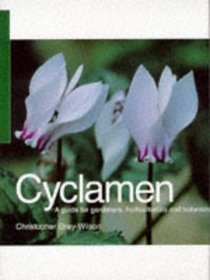 Cyclamen