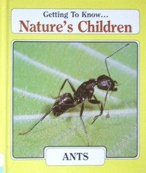 Getting To Know... Nature's Children: Ants