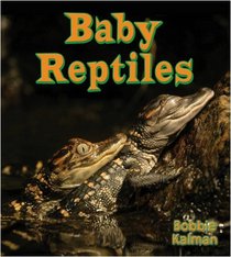 Baby Reptiles (It's Fun to Learn About Baby Animals)