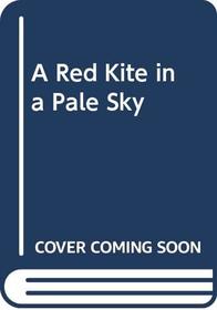 A Red Kite in a Pale Sky