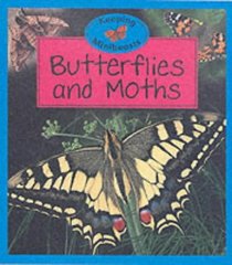 Butterflies and Moths (Keeping Minibeasts)