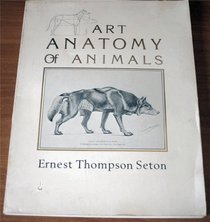 Studies in the Art Anatomy of Animals