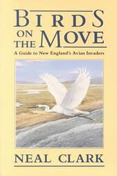 Birds on the Move: A Guide to New England's Avian Invaders