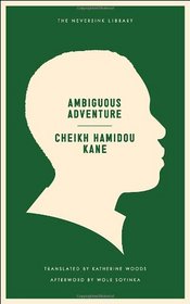 Ambiguous Adventure (Neversink)