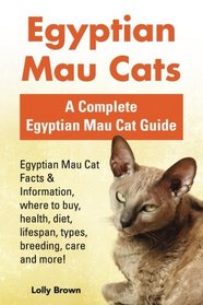 Egyptian Mau Cats: Egyptian Mau Cat Facts & Information, where to buy, health, diet, lifespan, types, breeding, care and more! A Complete Egyptian Mau Cat Guide
