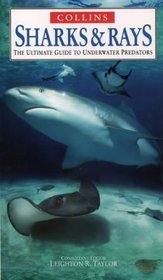 Sharks and Rays (Nature Company Guides)