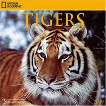 National Geographic Tigers 2009 Calendar