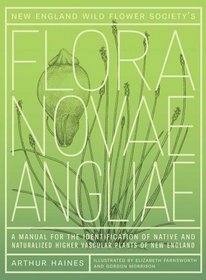 New England Wildflower Society's Flora Novae Angliae: A Manual for the Identification of Native and Naturalized Vascular Plants of New England