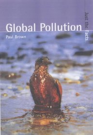 Global Pollution (Just the Facts)