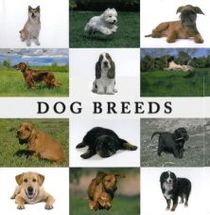 Dog Breeds