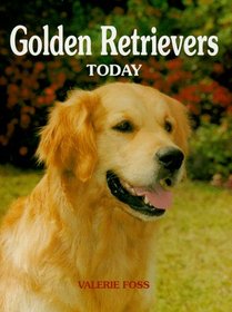 Golden Retrievers Today