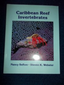 A Field Guide to Caribbean Reef Invertebrates: A Special Publication of the Monterey Bay Aquarium Foundation