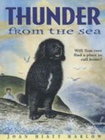 Thunder from the Sea