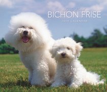 Bichon Frise, For the Love of 2008 Deluxe Wall Calendar