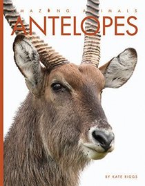 Antelopes (Amazing Animals)