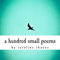 a hundred small poems by caroline skanne