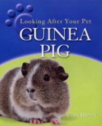 Guinea Pig (Looking After Your Pet)