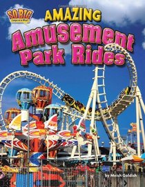 Amazing Amusement Park Rides (So Big Compared to What?)