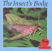 The Insect's Body (Stone, Lynn M. Six Legged World.)