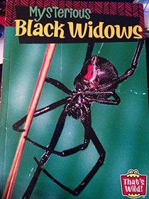 Mysterious Black Widows (That's Wild!)