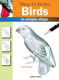 How to Draw Birds in Simple Steps