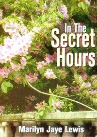 In the Secret Hours