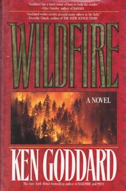 Wildfire (Henry Lightstone, Bk 2)